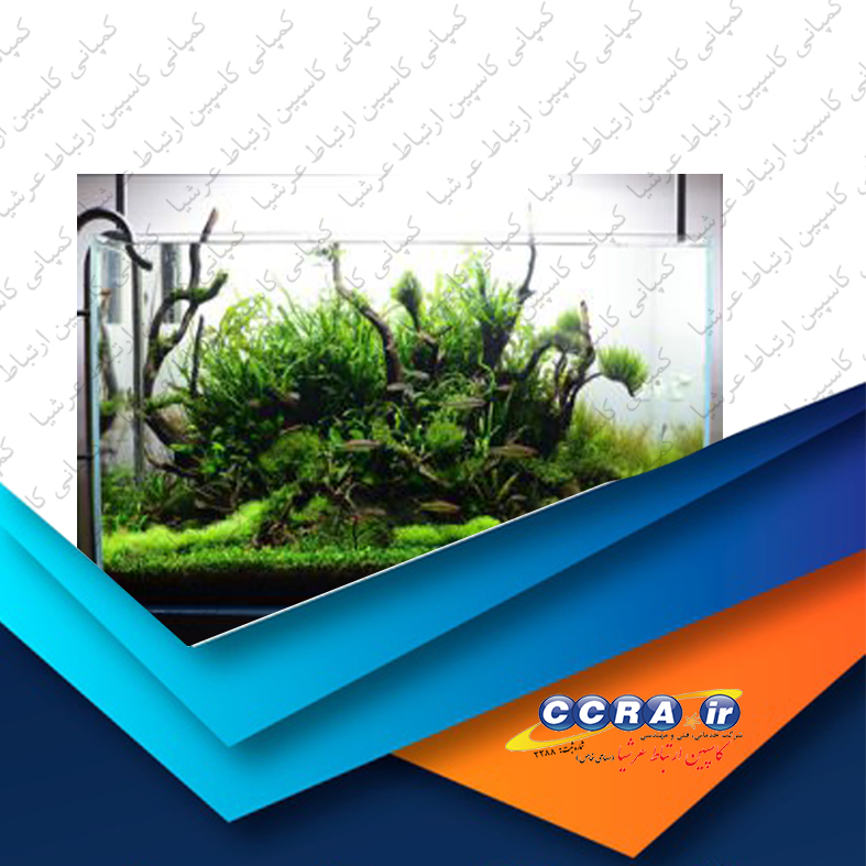 تصفیه آب آکواریوم آکوا تک
